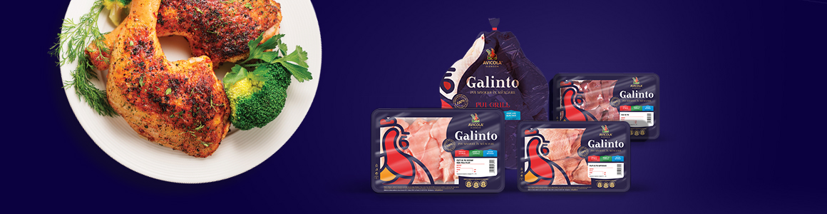 banner-galinto